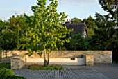 LIQUIDAMBER STYRACIFLUA WITH CONTEMPORARY WATER FEATURE AND GRANITE SETTS