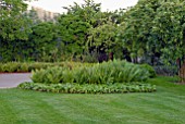 LAWN, FERNS AND IVY