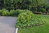 LAWN, FERNS, IVY AND BRICK PAVOURS