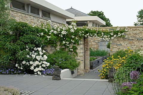 MODERN_WALLED_GARDEN_WITH_WHITE_ROSES_AND_HERBACEOUS_BORDERS_LOOKING_THROUGH_TO_KITCHEN_GARDEN