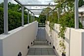 STEEL FRAMED PERGOLA IN CONTEMPORARY GARDEN