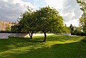 APPLE TREES IN UNDULATING LAWN IN CONTEMPORARY GARDEN DESIGN