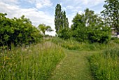 MOWN PATH THROUGH GRASS AND WILD FLOWER AREA  IN GARDEN