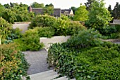 CONTEMPORARY ENCLOSED GARDEN WITH GREEN PLANTING