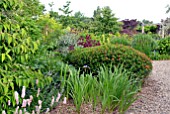 GRAVEL GARDEN WITH MIXED PLANTING
