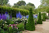 DELPHINIUMS AT HANHAM COURT