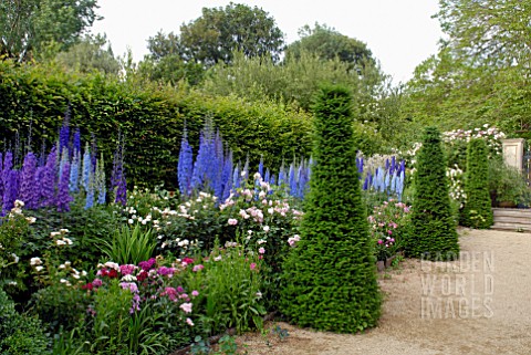 DELPHINIUMS_AT_HANHAM_COURT