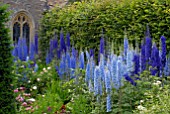 DELPHINIUMS AT HANHAM COURT