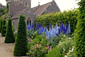 DELPHINIUMS AT HANHAM COURT