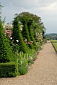 YEW TOPIARY AND ROSES IN BORDER AT HANHAM COURT