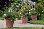 LARGE TERRACOTTA POTS WITH LILIUM REGALE, PELARGONIUMS AT HANHAM COURT