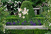 WOODEN SEAT WITH BUXUS HEDGE, LILIUM REGALE, ROSES AND HELIOTOPIUM ARBORESCENS AT HANHAM COURT