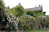 RAMBLING ROSES AND RED VALERIAN DRAPED OVER WALL AT HANHAM COURT