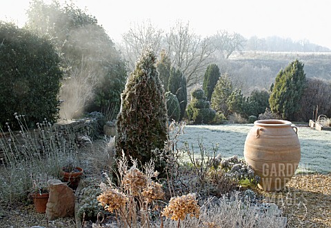 FROSTY_WINTER_GARDEN_WITH_BIG_POT_CONIFERS_AND_MIXED_PLANTING