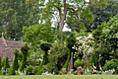 MIXED HERBACEOUS BORDER WITH YEW TOPIARY AND ROSES AT HANHAM COURT