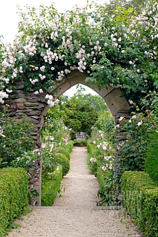GOTHIC_ARCH_WITH_RAMBLING_ROSE_AT_HANHAM_COURT