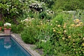 SWIMMING POOL WITH WIREWORK CHAIR, RAMBLING ROSES AND LONICERA AT HANHAM COURT