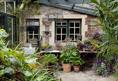 TENDER_AND_EXOTIC_PLANTS_IN_CONSERVATORY