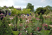 MASSES OF LILIUM REGALE AND BOX TOPIARY AT HANHAM COURT