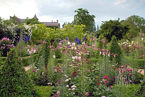 MASSES_OF_LILIUM_REGALE_AND_BOX_TOPIARY_AT_HANHAM_COURT