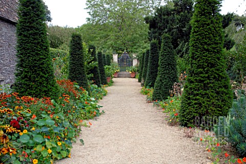 AVENUE_OF_YEW_TOPIARY_AND_NASTURTIUMS_LEADING_TO_GATE_AT_HANHAM_COURT