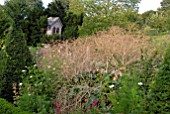 CRAMBE CORDIFOLIA IN SEPTEMBER AT HANHAM COURT