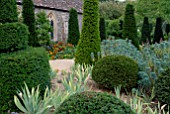 EUPHORBIA CHARACIAS WULFENII, IRIS PALLIDA AND YEW TOPIARY AT HANHAM COURT