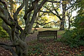 WOODEN SEAT AT BATSFORD ARBORETUM