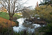 LAKE AT BATSFORD ARBORETUM