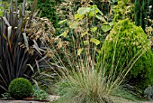 STIPA GIGANTEA IN MIXED BORDER WITH PHORMIUM TENAX AND PAULOWNIA TORMENTOSA