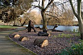 WOOD SCULPTURES IN SYON PARK