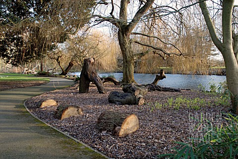 WOOD_SCULPTURES_IN_SYON_PARK