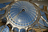 DOME OF THE GREAT CONSERVATORY AT SYON PARK