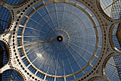 DOME OF THE GREAT CONSERVATORY AT SYON PARK