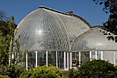 THE PALM HOUSE AT BICTON PARK,  DEVON