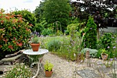 COUNTRY GARDEN WITH MIXED BORDERS,  SHED,  VEG. PLOT,  LAVENDER,  VERBENA AND LINARIA