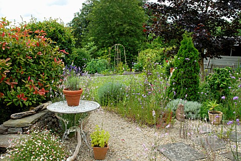 COUNTRY_GARDEN_WITH_MIXED_BORDERS__SHED__VEG_PLOT__LAVENDER__VERBENA_AND_LINARIA