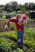 SCARECROW COMPETITION, DAGGS ALLOTMENTS, THORNBURY, BRISTOL. NGS OPEN DAY