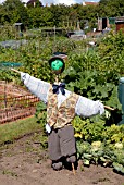 SCARECROW COMPETITION, DAGGS ALLOTMENTS, THORNBURY, BRISTOL. NGS OPEN DAY