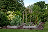 RUSTIC VEGETABLE GARDEN