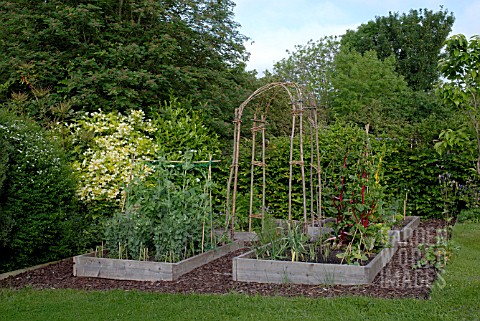 RUSTIC_VEGETABLE_GARDEN