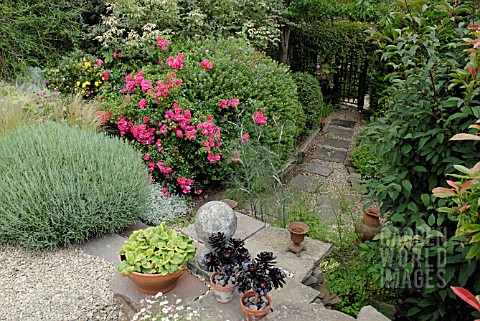 COUNTRY_GARDEN_WITH_POTS_STONE_BALL__AEONIUM_LAVENDER_ROSES_AND_SHRUBS