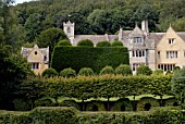 TOPIARY AND HEDGES AT OWLPEN MANOR, GLOUCESTERSHIRE
