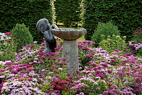 STATUE_OF_LITTLE_GIRL_AND_WATER_FEATURE_SURROUNDED_BY_DIANTHUS_BARBATUS_SWEET_WILLIAMS