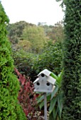 BIRD HOUSE IN MIXED SHRUB BORDER