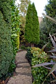 GRAVEL PATH IN WOODLAND GARDEN