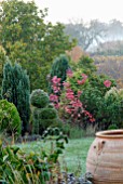 AUTUMNAL CONIFER AND MIXED BORDER