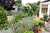 COTTAGE GARDEN BORDER AND PATIO