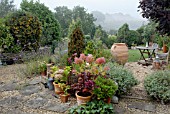 MIXED LATE SUMMER BORDERS WITH POTS ON PATIO IN COTTAGE STYLE GARDEN