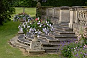 PETUNIA SURFINIA BLUE VEIN IN STONE URNS AT OZLEWORTH PARK, GLOUCESTERSHIRE